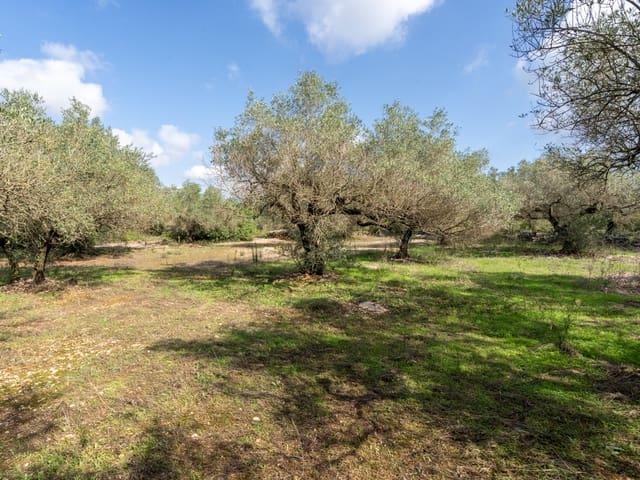 Casa Rural en venta en Montsià, Catalunya
