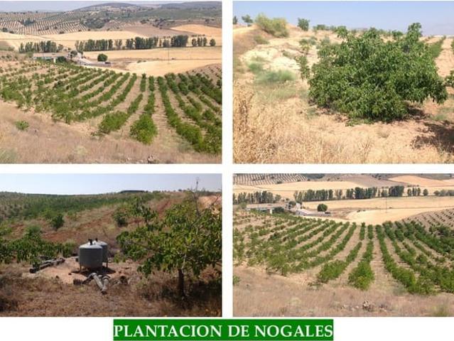 Casa Rural en venta en Guadahortuna