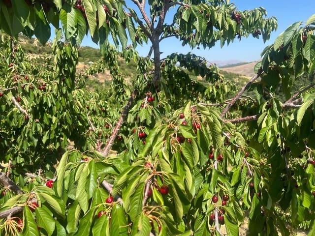 Casa Rural en venta en El Peñón, Güejar Sierra
