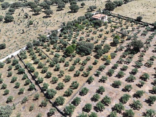 Casa Rural en venta en Herguijuela, Extremadura