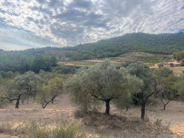 Casa Rural en venta en Terra Alta, Catalunya