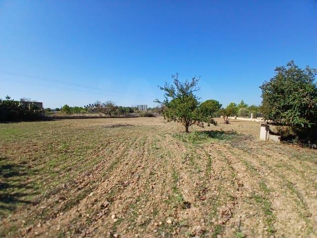 Casa Rural en venta en Crist Rei, Raiguer