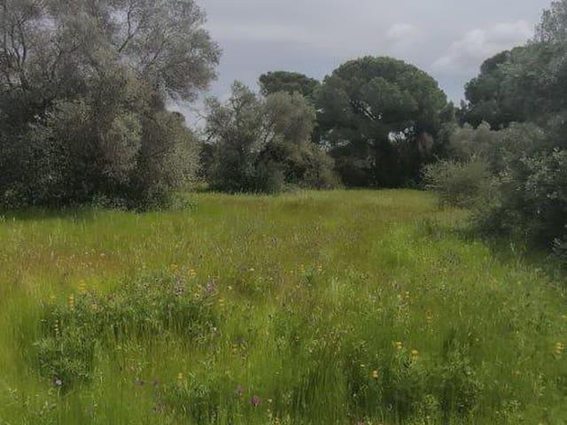 Casa Rural en venta en Costa Occidental, Andalucía
