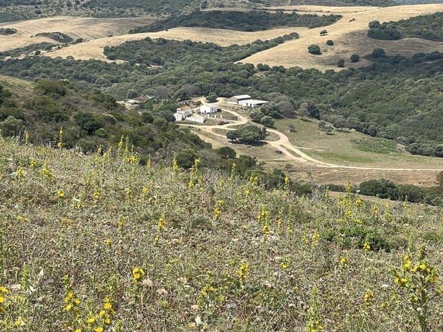 Casa Rural en venta en Los Ángeles, Campo de Gibraltar