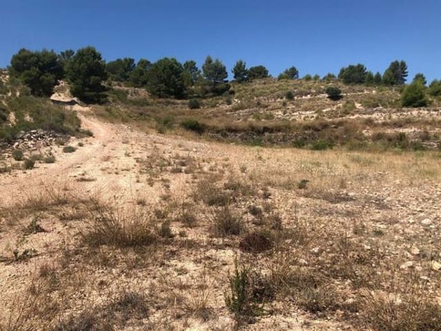 Casa Rural en venta en La Zarza, Altiplano