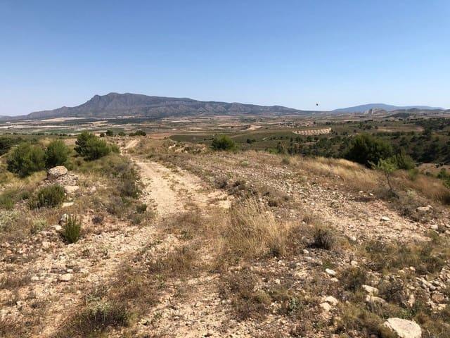 Casa Rural en venta en La Zarza, Altiplano