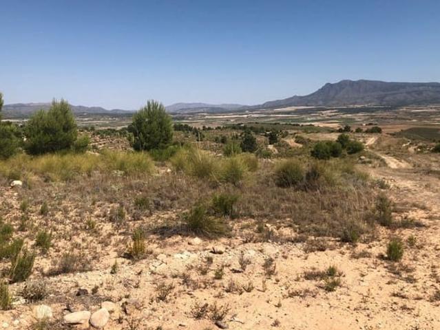 Casa Rural en venta en La Zarza, Altiplano