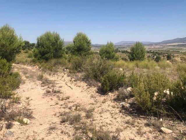 Casa Rural en venta en La Zarza, Altiplano