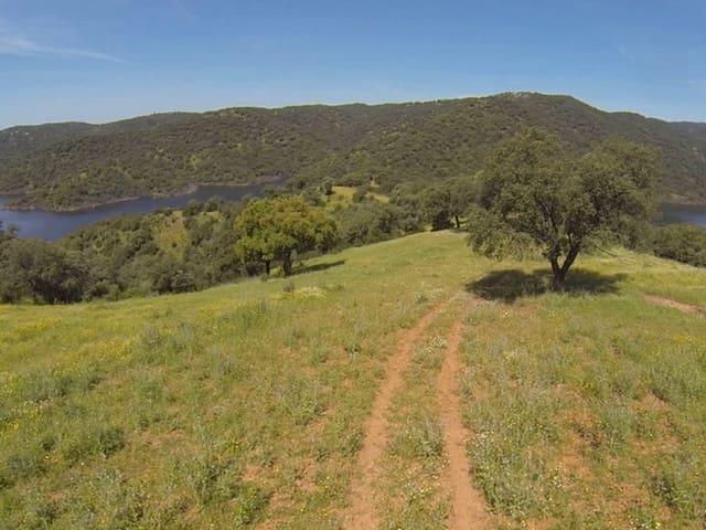 Casa Rural en venta en La Carlota, Andalucía