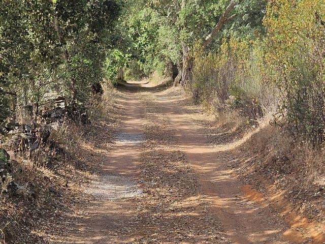 Casa Rural en venta en Tierra de Badajoz, Extremadura