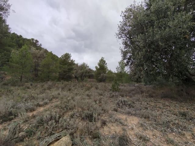 Casa Rural en venta en Matarraña / Matarranya, La Fresneda