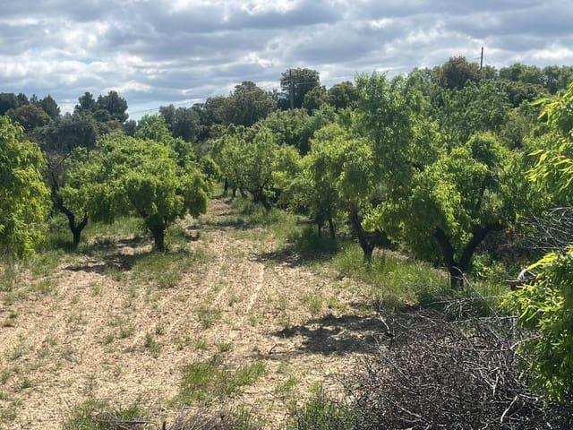 Casa Rural en venta en Matarraña / Matarranya, La Fresneda