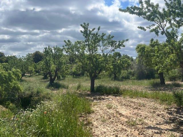 Casa Rural en venta en Matarraña / Matarranya, La Fresneda
