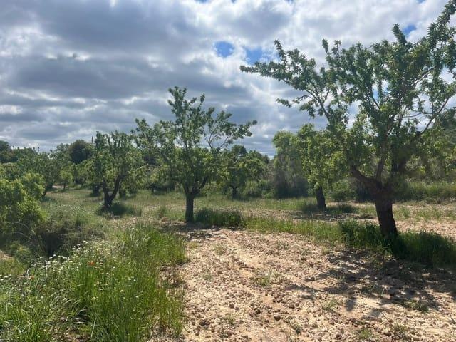 Casa Rural en venta en Matarraña / Matarranya, La Fresneda