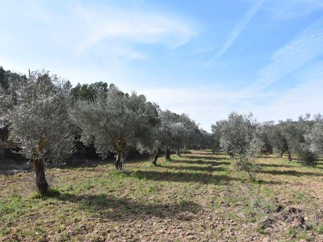 Casa Rural en venta en Matarraña / Matarranya, La Fresneda