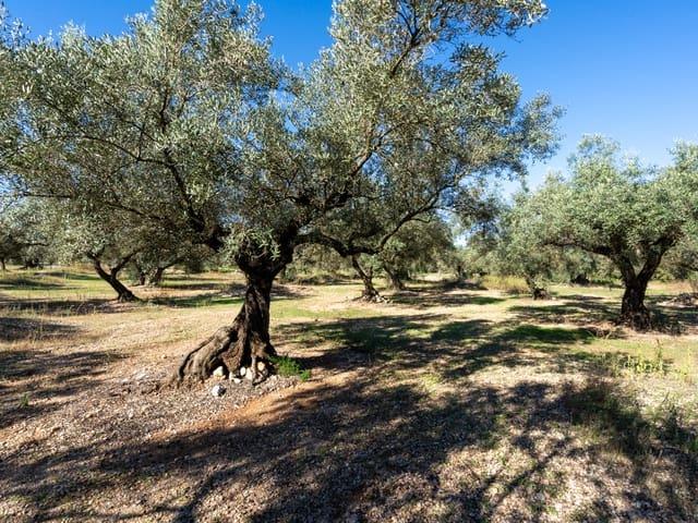 Casa Rural en venta en Montsià, Catalunya
