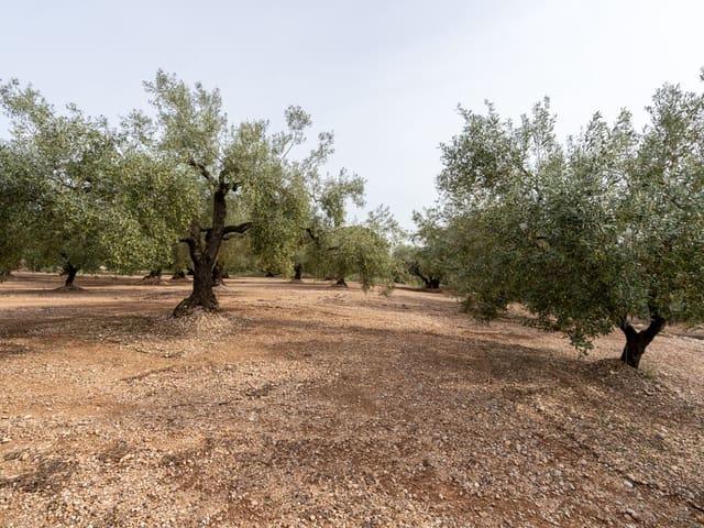 Casa Rural en venta en Montsià, Catalunya