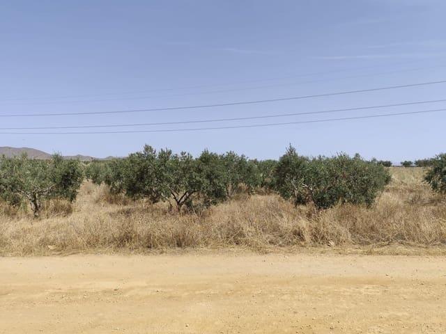 Casa Rural en venta en La Magdalena, Campo de Cartagena y Mar Menor