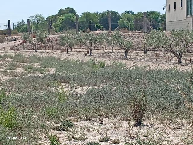 Casa Rural en venta en la Marina, el Baix Vinalopó