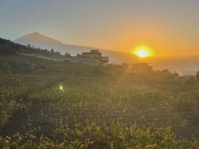 Casa Rural en venta en El Monturrio, La orotava