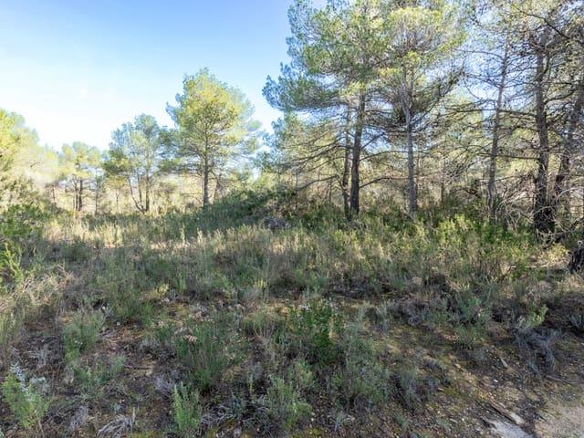 Casa Rural en venta en el Baix Maestrat, Valencia
