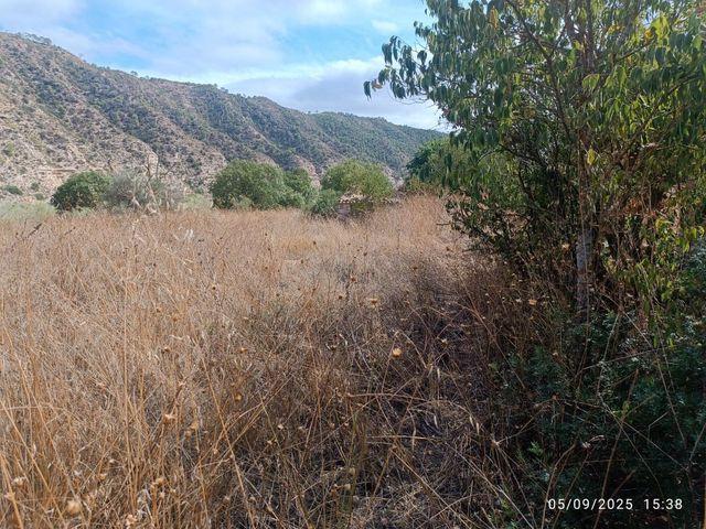 Casa Rural en venta en la Pobla de Massaluca, Tarragona