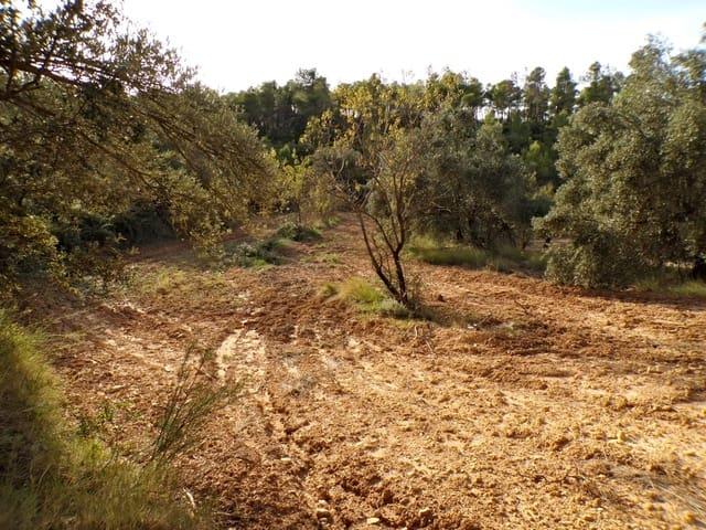 Casa Rural en venta en Matarraña / Matarranya, La Fresneda