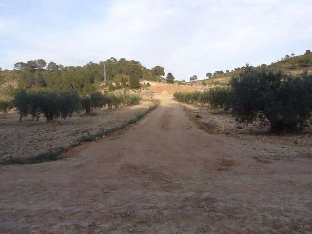 Casa Rural en venta en La Zarza, Altiplano