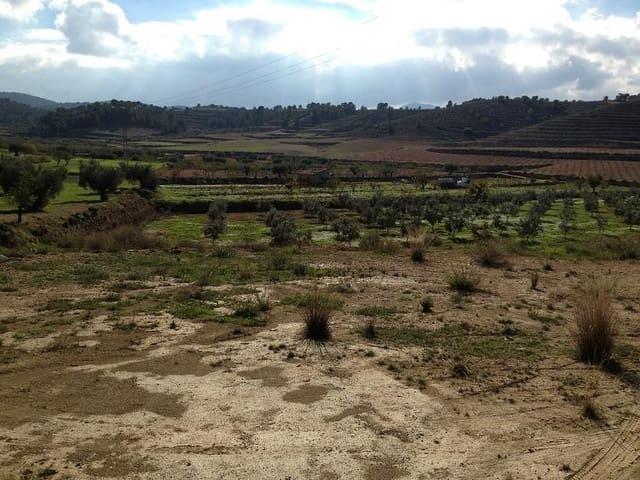 Casa Rural en venta en La Zarza, Altiplano