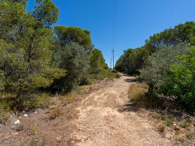 Casa Rural en venta en Baix Ebre, Catalunya