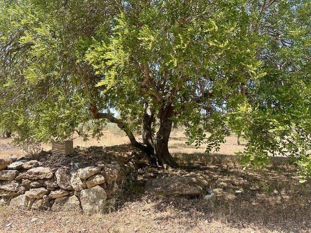 Casa Rural en venta en Baix Ebre, Catalunya