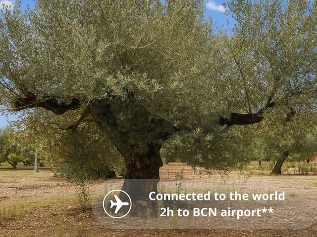 Casa Rural en venta en Baix Ebre, Catalunya