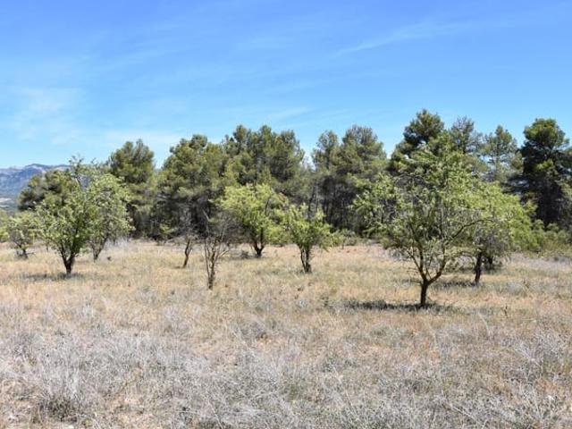 Casa Rural en venta en Matarraña / Matarranya, Lledó