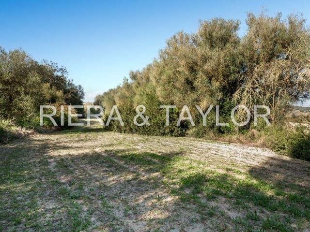 Terreno en venta en Pla de Mallorca, Baleares