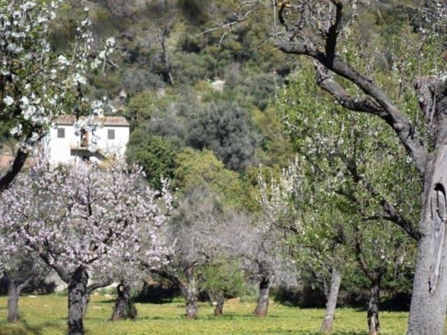 Casa Rural en venta en Lloseta, Baleares