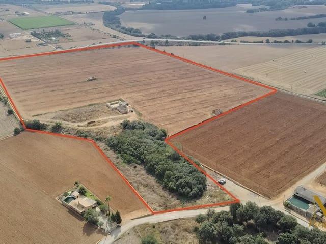 Casa Rural en venta en Llubí