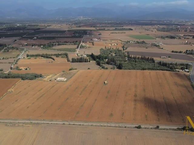 Casa Rural en venta en Pla de Mallorca, Baleares