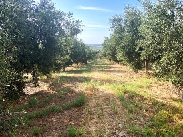 Casa Rural en venta en Zona 2 (Centro y San Francisco), Lucena