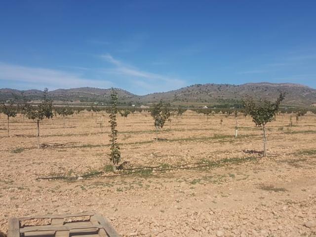 Casa Rural en venta en Centro, Medina-sidonia