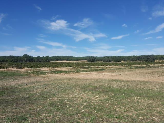 Casa Rural en venta en Centro, Medina-sidonia