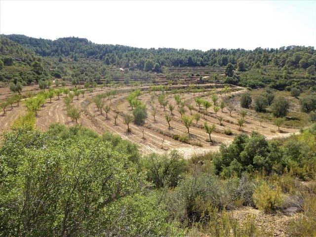 Casa Rural en venta en Maella, Zaragoza
