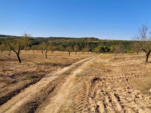 Casa Rural en venta en Bajo Aragón-Caspe / Baix Aragó-Casp, Aragón