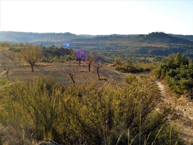 Casa Rural en venta en Bajo Aragón-Caspe / Baix Aragó-Casp, Aragón
