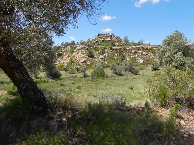 Casa Rural en venta en Bajo Aragón-Caspe / Baix Aragó-Casp, Aragón