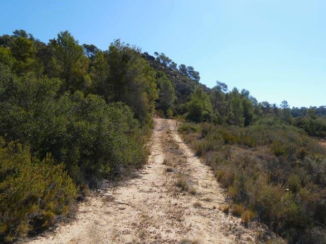Casa Rural en venta en Bajo Aragón-Caspe / Baix Aragó-Casp, Aragón