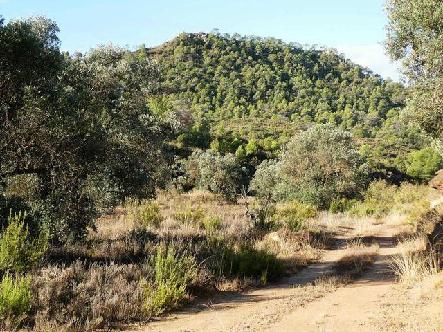 Casa Rural en venta en Maella, Zaragoza