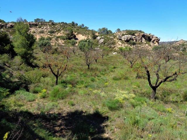 Casa Rural en venta en Bajo Aragón-Caspe / Baix Aragó-Casp, Aragón