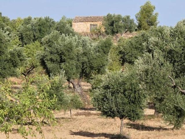 Casa Rural en venta en Bajo Aragón-Caspe / Baix Aragó-Casp, Aragón