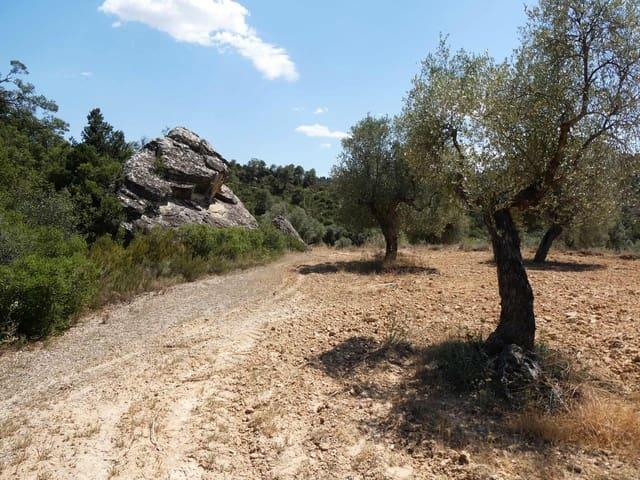 Casa Rural en venta en Bajo Aragón-Caspe / Baix Aragó-Casp, Aragón