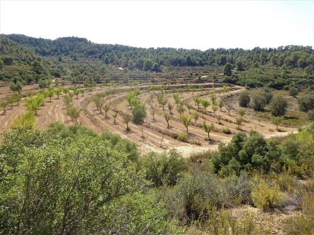 Casa Rural en venta en Bajo Aragón-Caspe / Baix Aragó-Casp, Aragón
